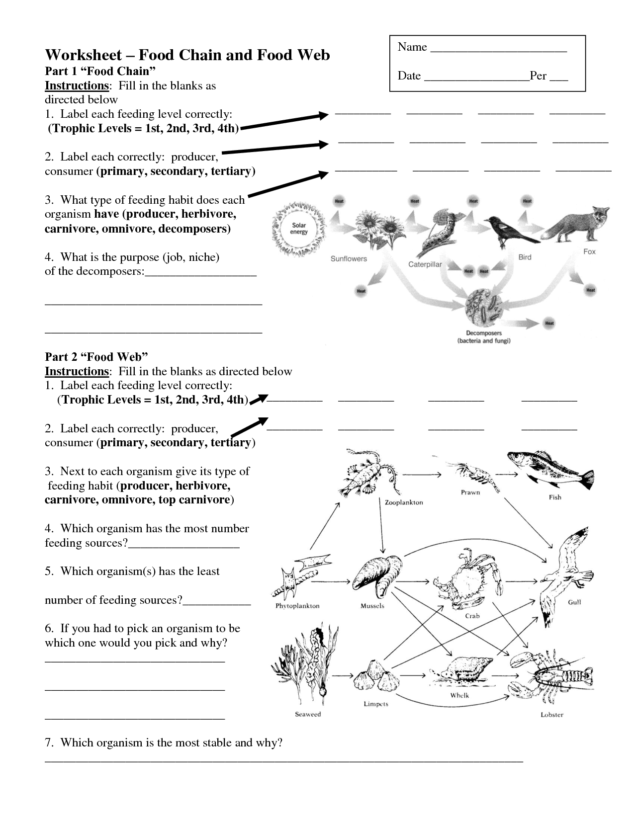 Food Webs Brainpop Quiz Answers Quizizz Pulls Pushes