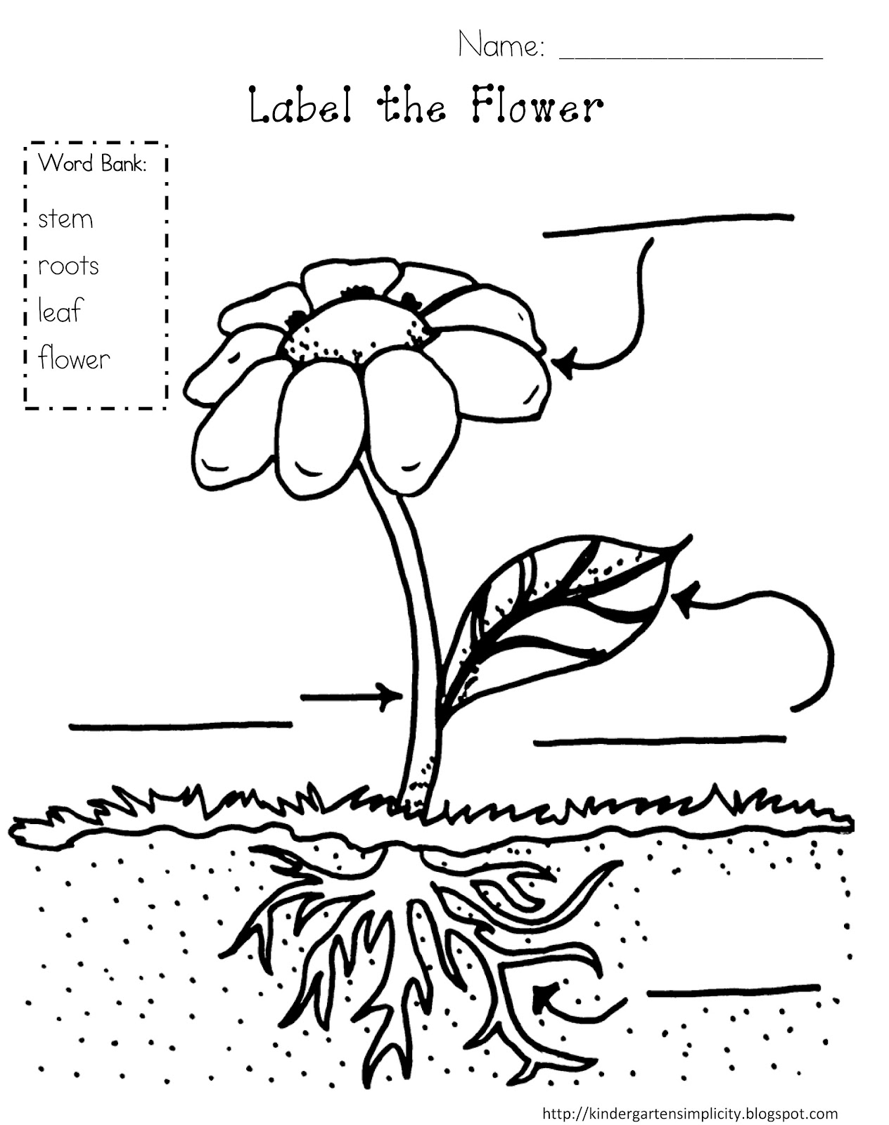 13 Best Images Of Plant Parts Worksheet 2nd Grade