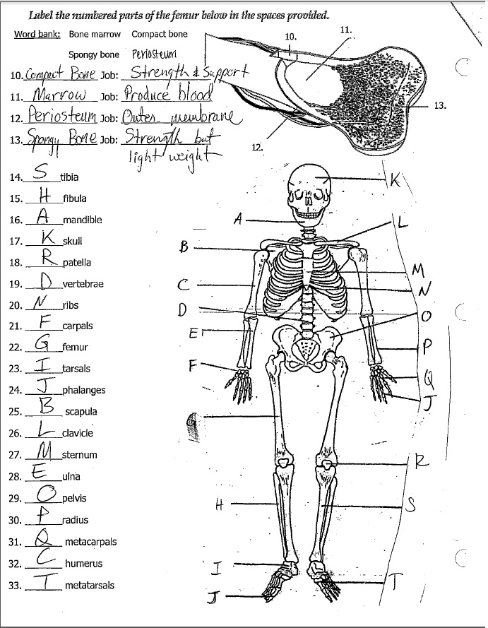 Printable Math Worksheets Free 7th Grade