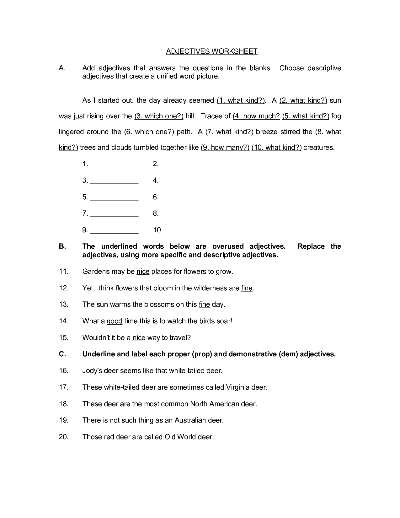 D1 3a 2 Descriptive Adjectives And Adjective Agreement Worksheet Answers