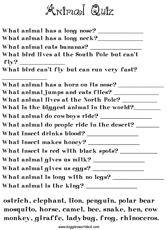 Animal Trivia Questions and Answers