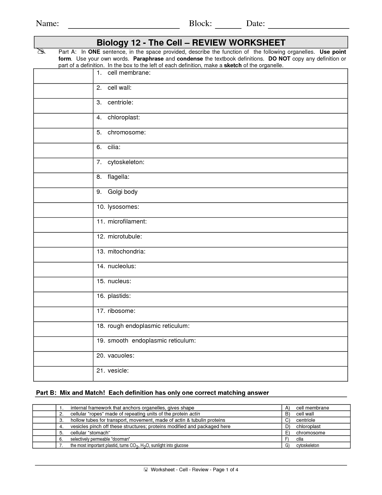 16-best-images-of-the-12-cell-review-worksheet-answers-biology-cell-organelles-worksheet