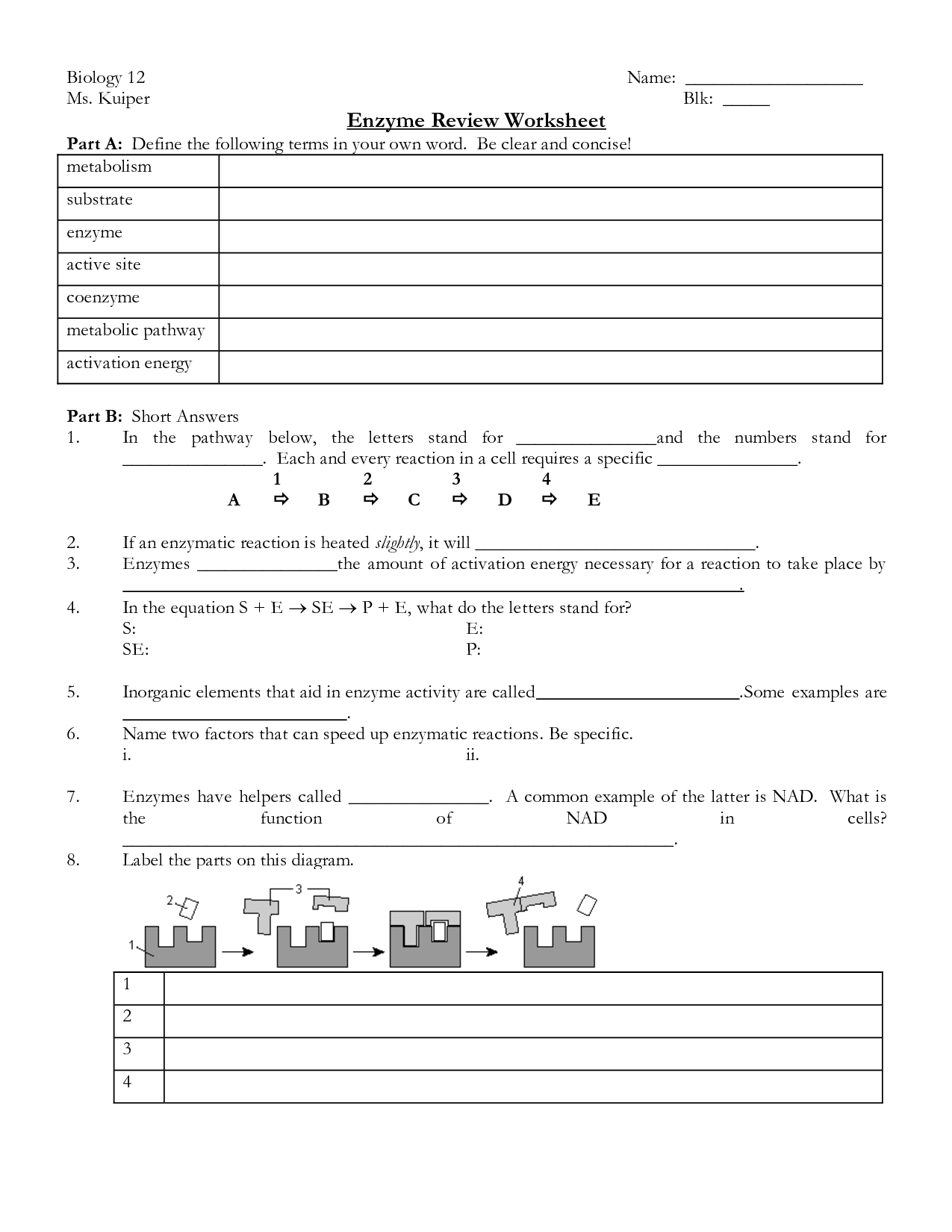 16 Best Images of The 12 Cell Review Worksheet Answers Biology  Cell Organelles Worksheet 