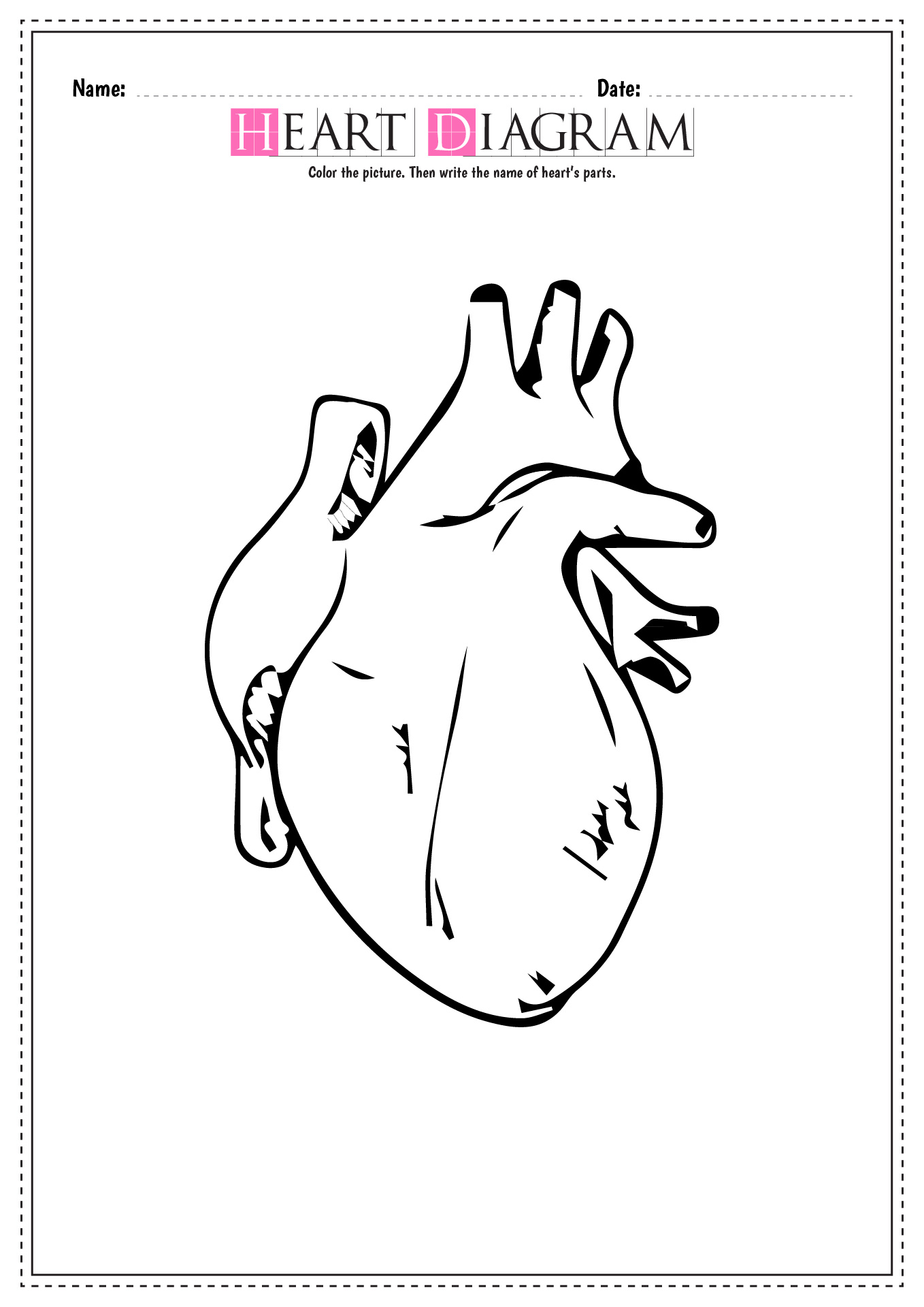 11 Best Images of Blank Heart Diagram Worksheet With Word ...