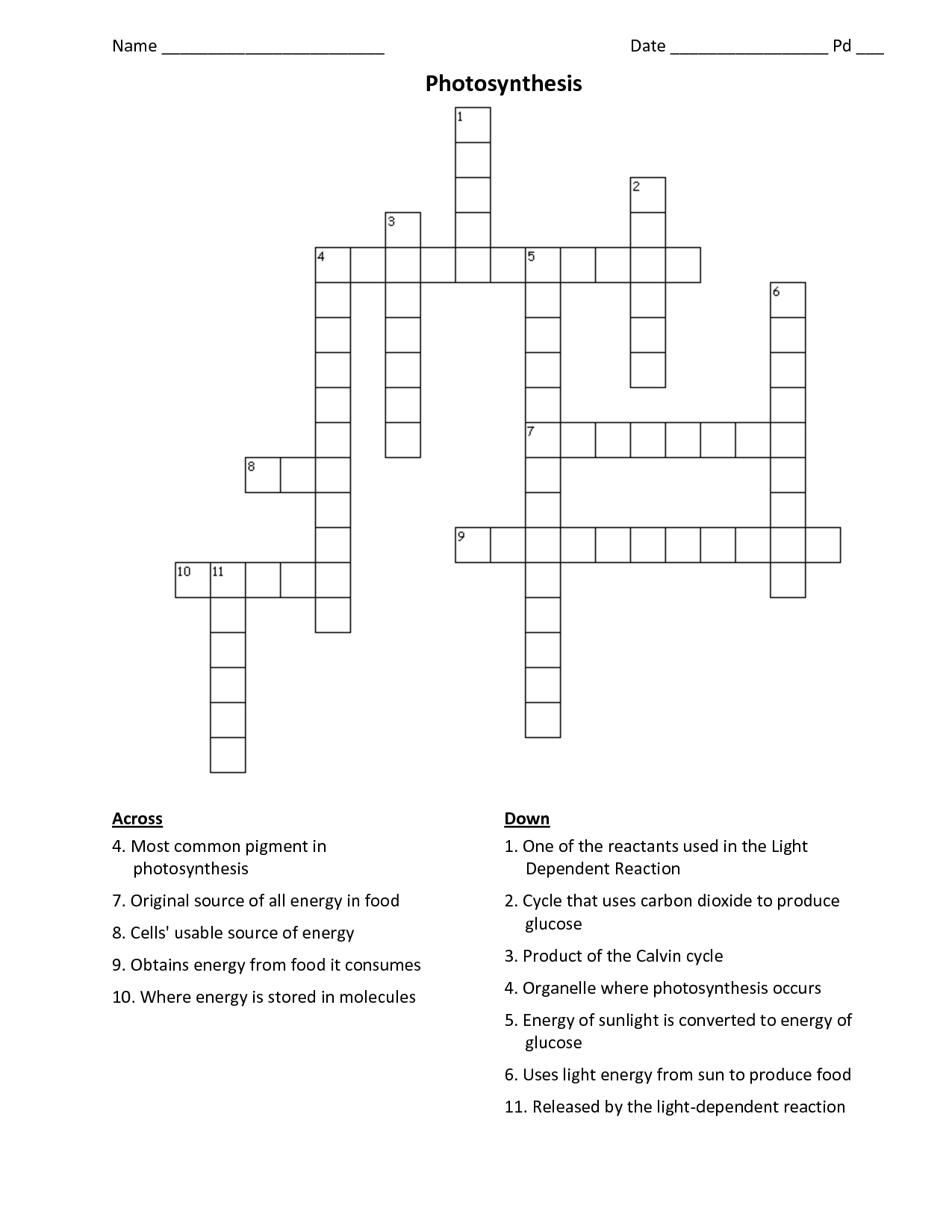 Cell Crossword Puzzle