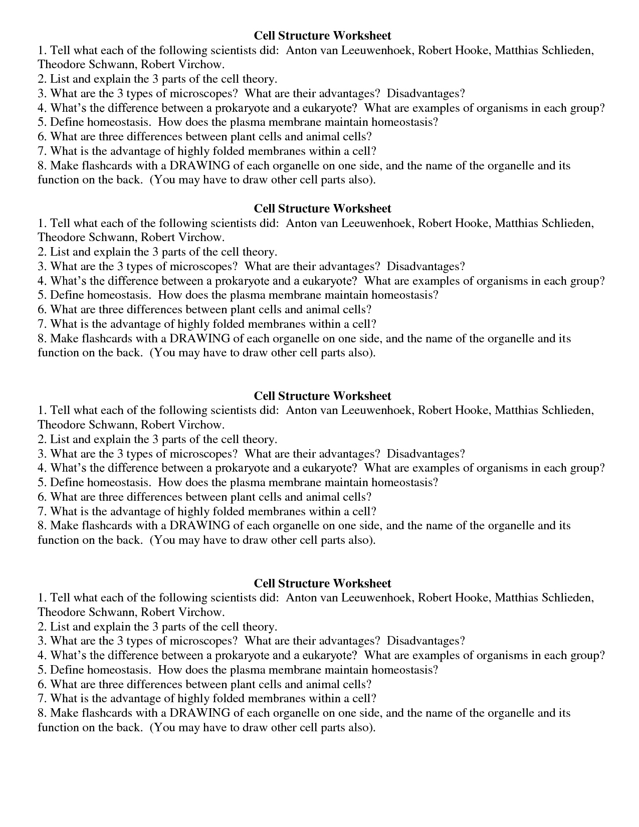 14 Best Images of Plant Cell Structure And Function Worksheet  Cell Structure and Function 