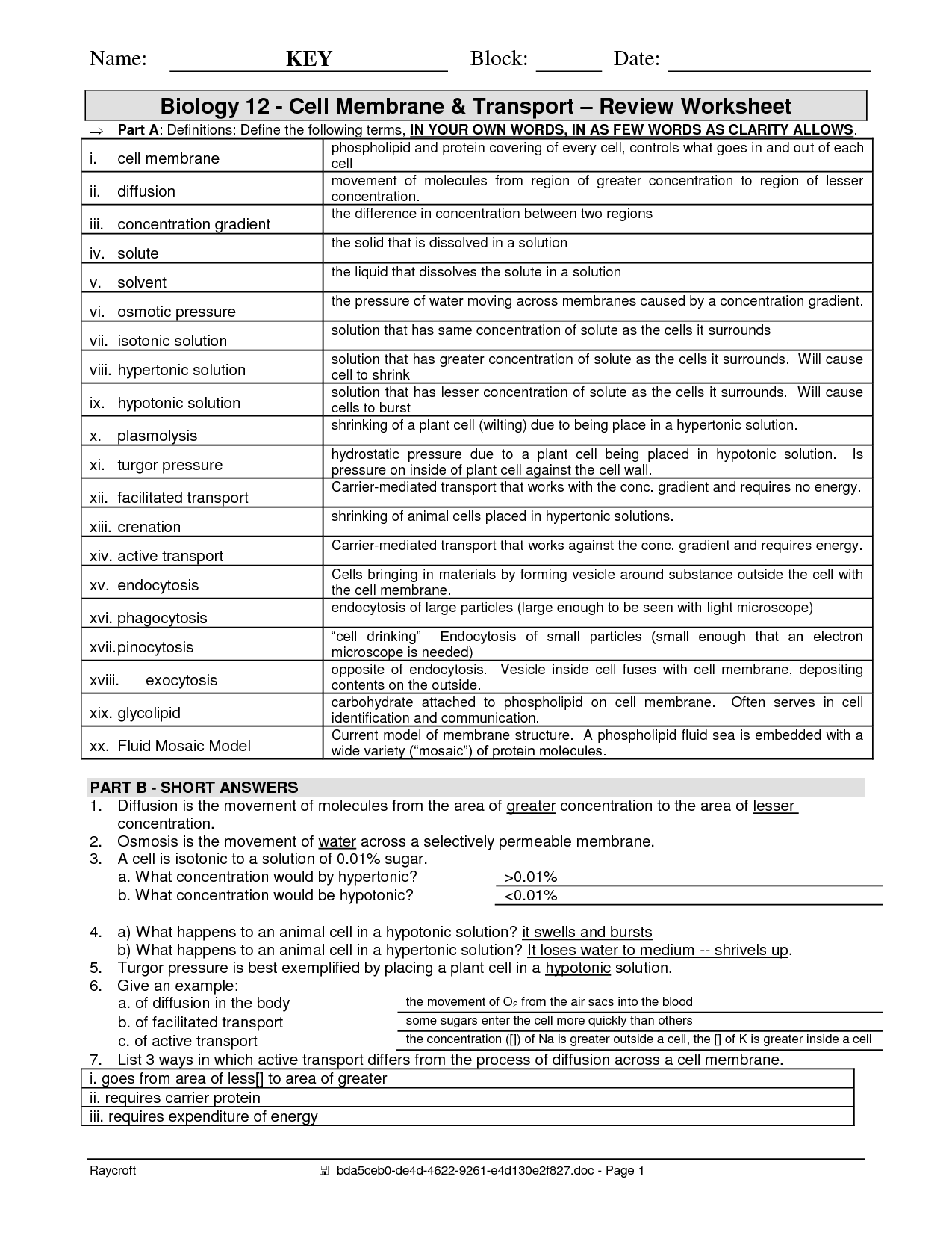 16-best-images-of-the-12-cell-review-worksheet-answers-biology-cell-organelles-worksheet