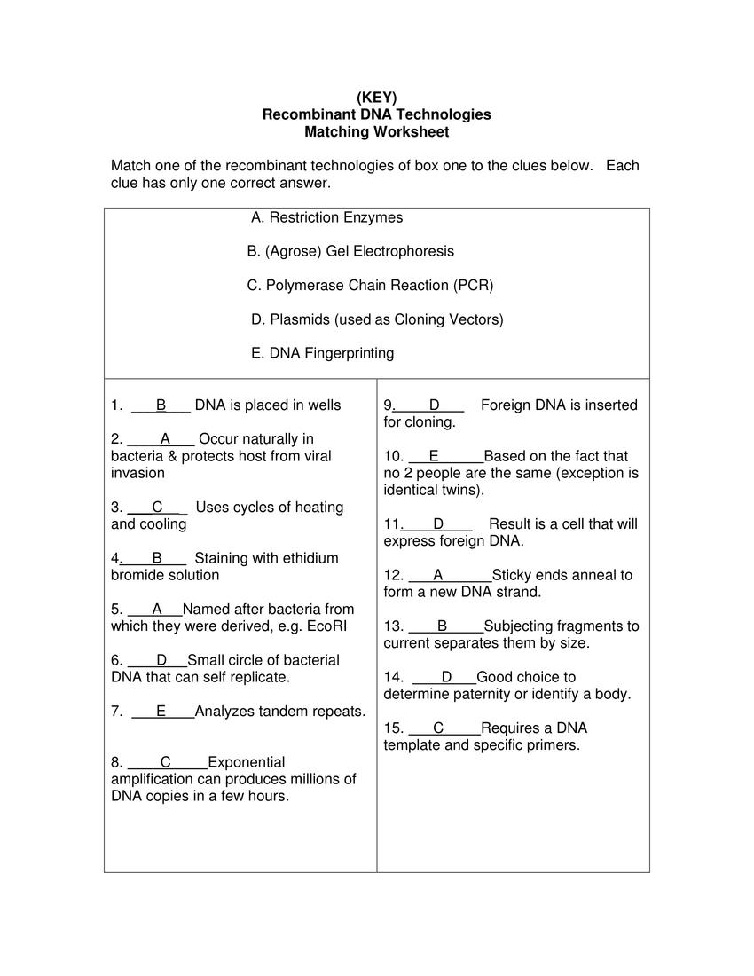 DNA the Molecule of Heredity Worksheet Answer Key