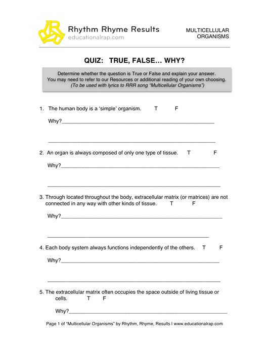 Conservation Of Energy Worksheet Answers