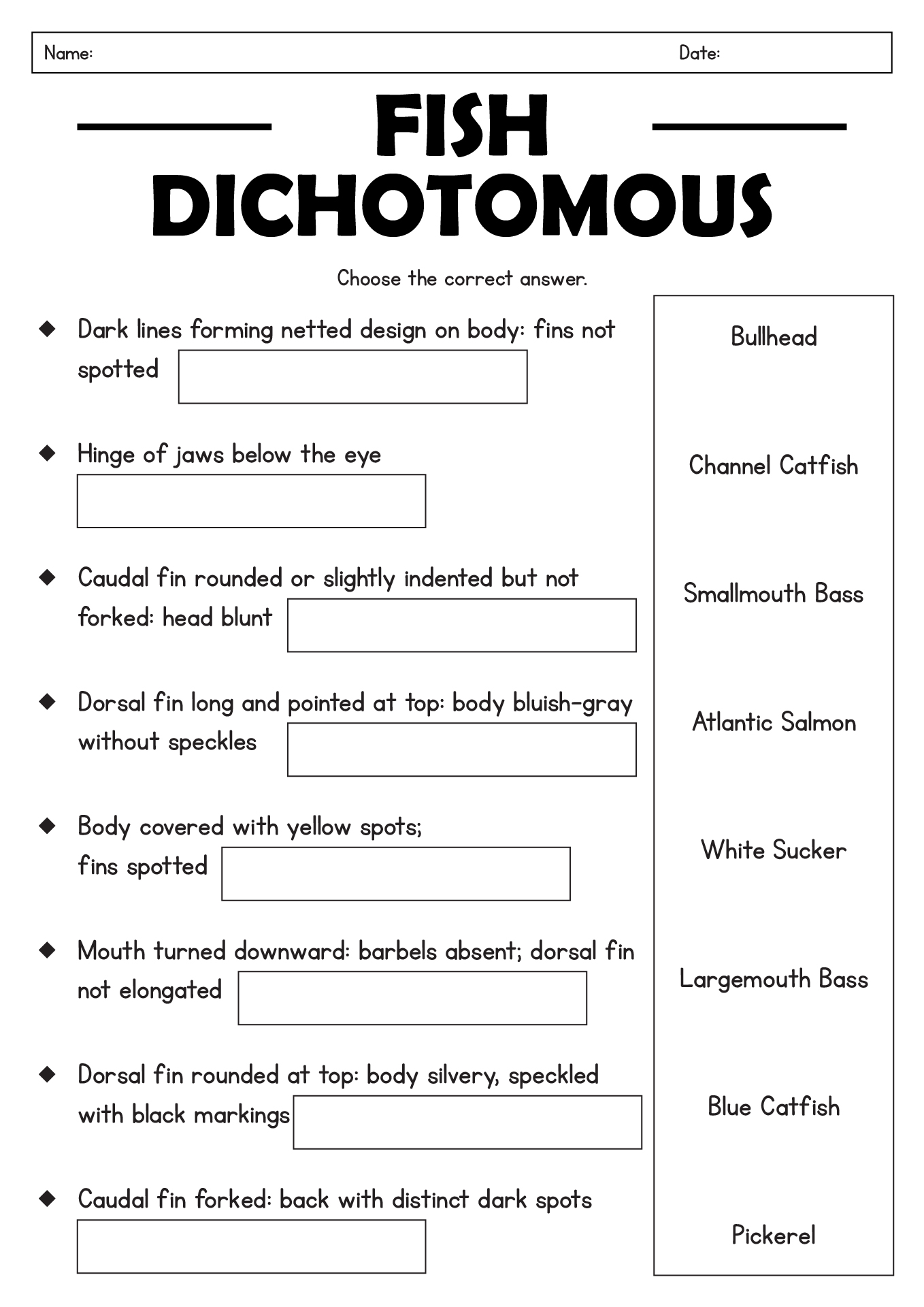 Dichotomous Key Worksheet Middle School