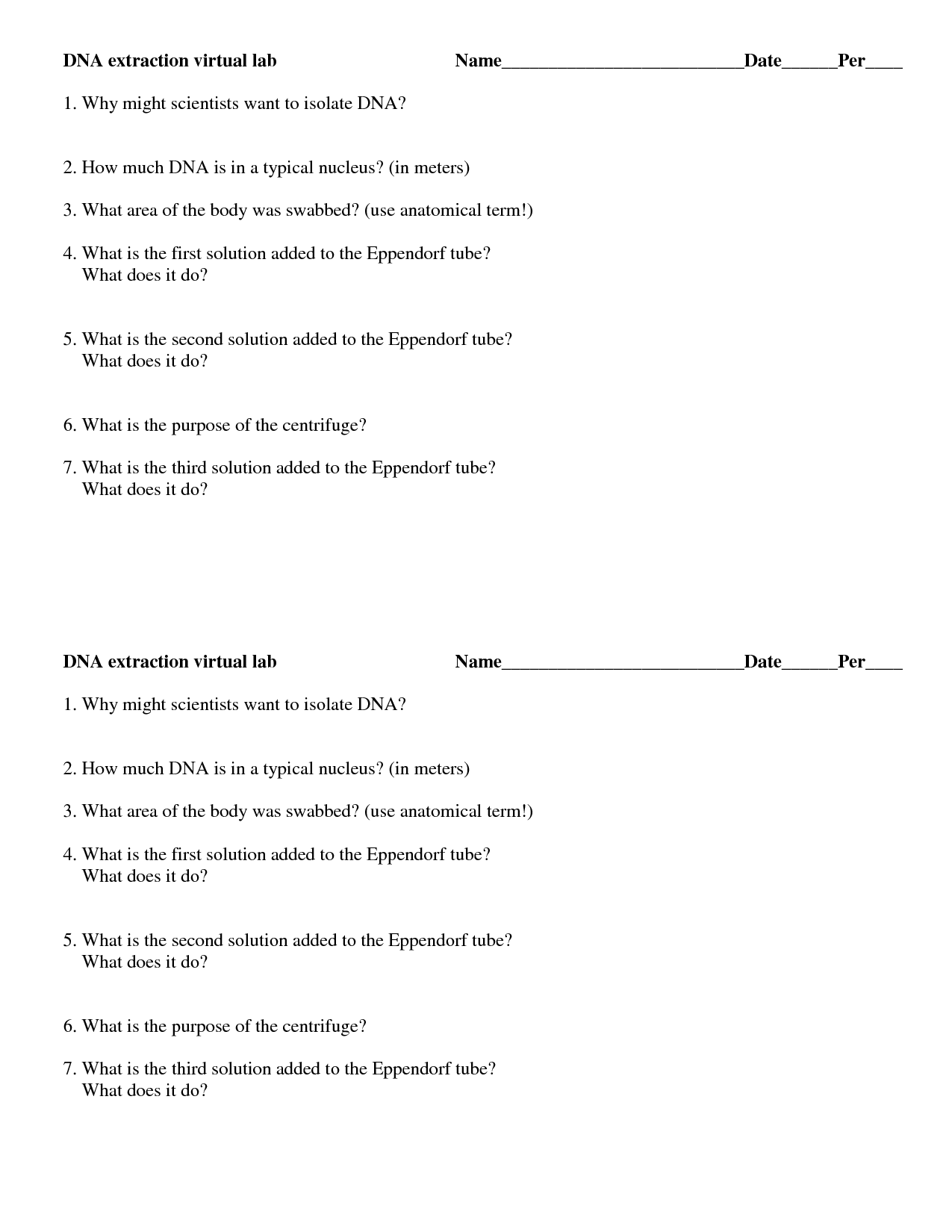 Gel Electrophoresis Worksheet Answers