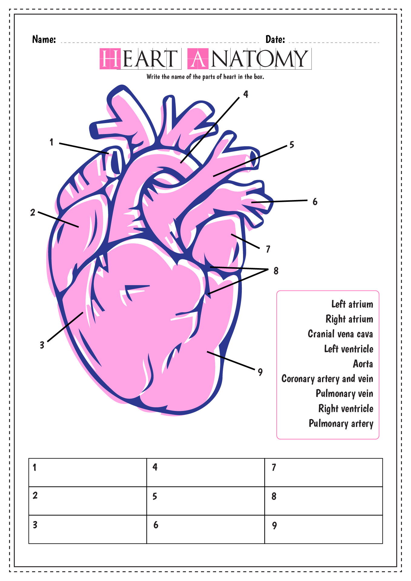11 Best Images of Blank Heart Diagram Worksheet With Word Bank - Label