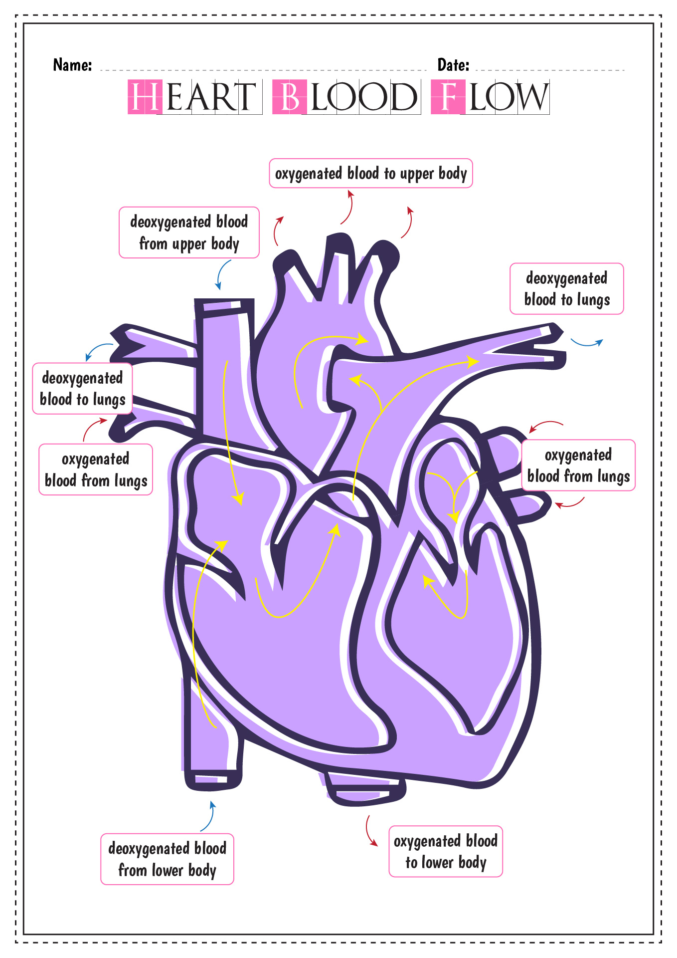 11 Best Images of Blank Heart Diagram Worksheet With Word ...