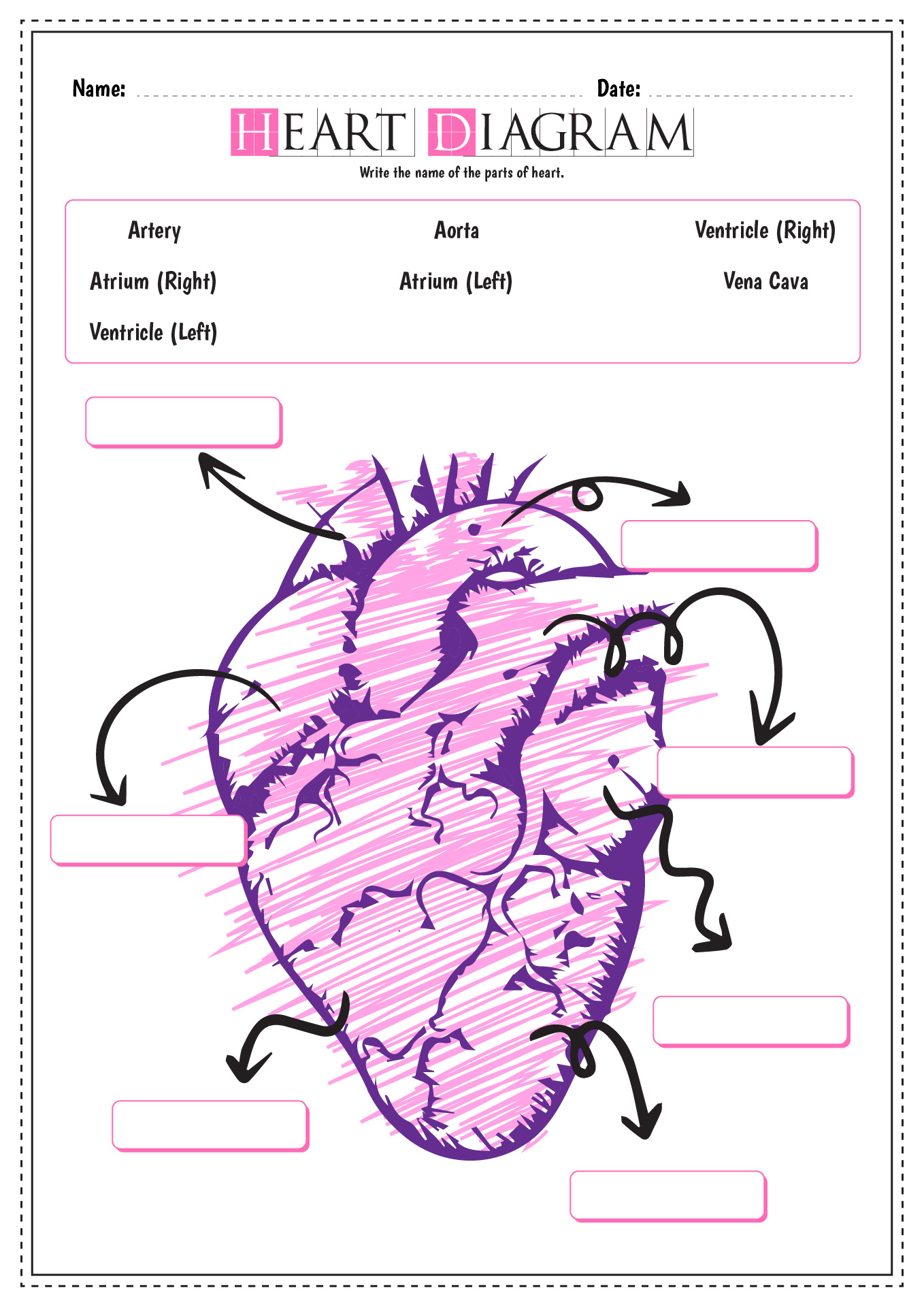 11 Best Images Of Blank Heart Diagram Worksheet With Word
