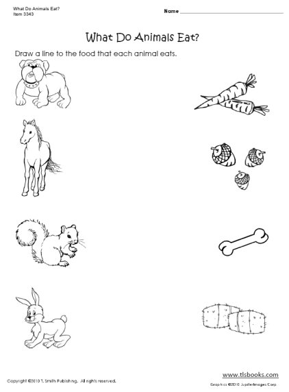 What Do Animals Eat Worksheet