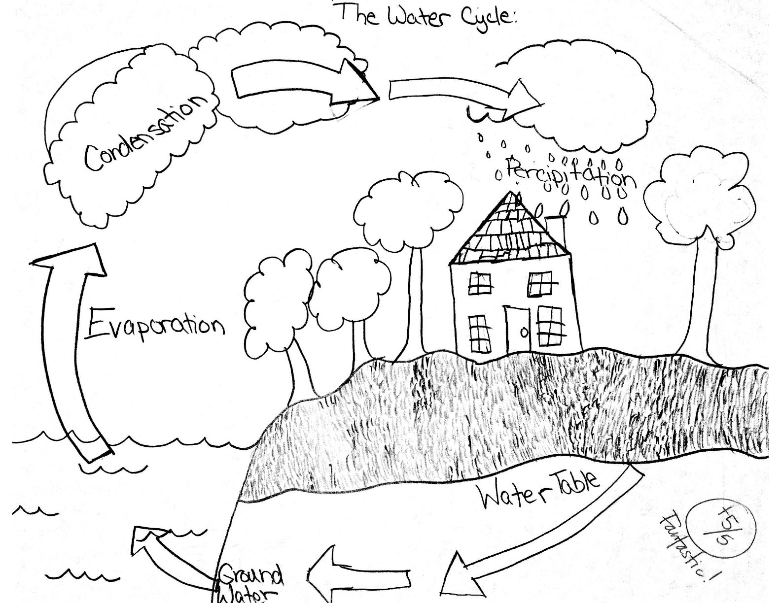 Bill Nye Water Cycle Worksheet