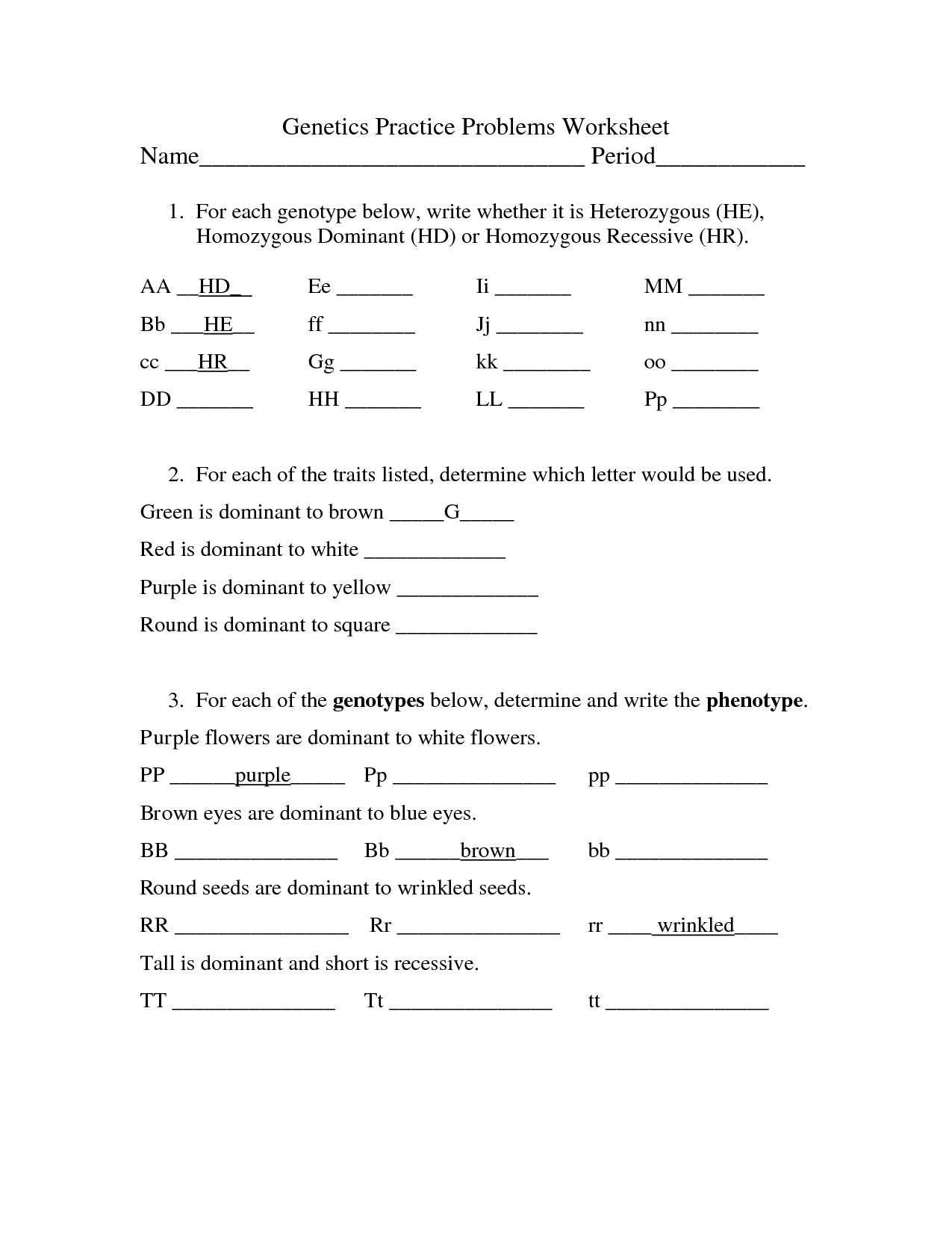 Genetics Worksheet Answer Key