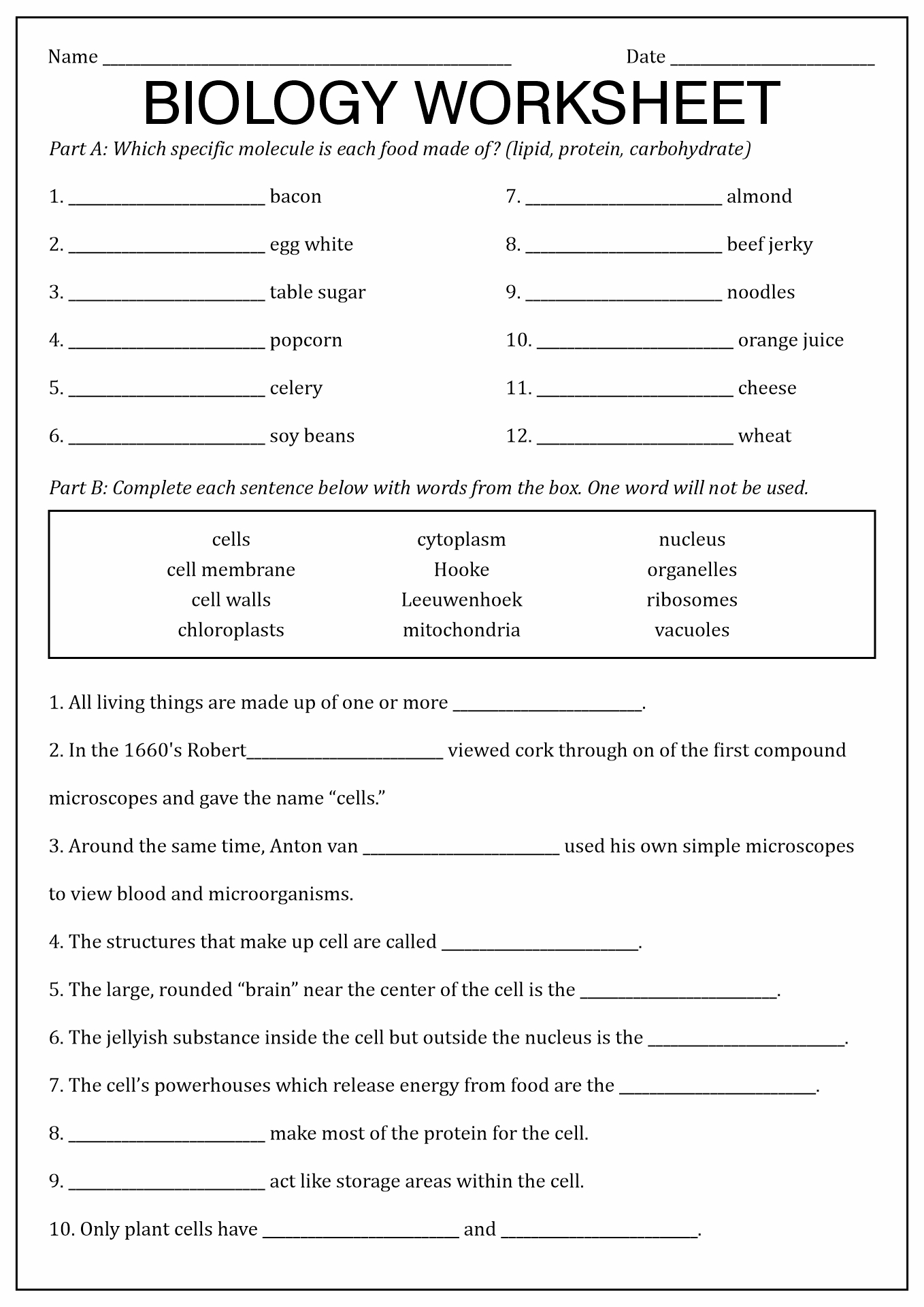 biology-worksheet-answers