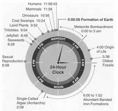 History of Life On Earth 24 Hour Clock