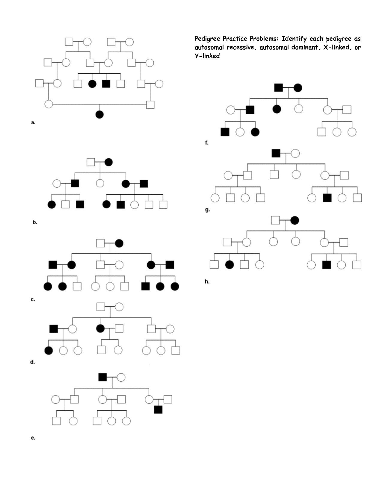 15 Best Images Of Pedigree Problem Worksheet Answers Genetics