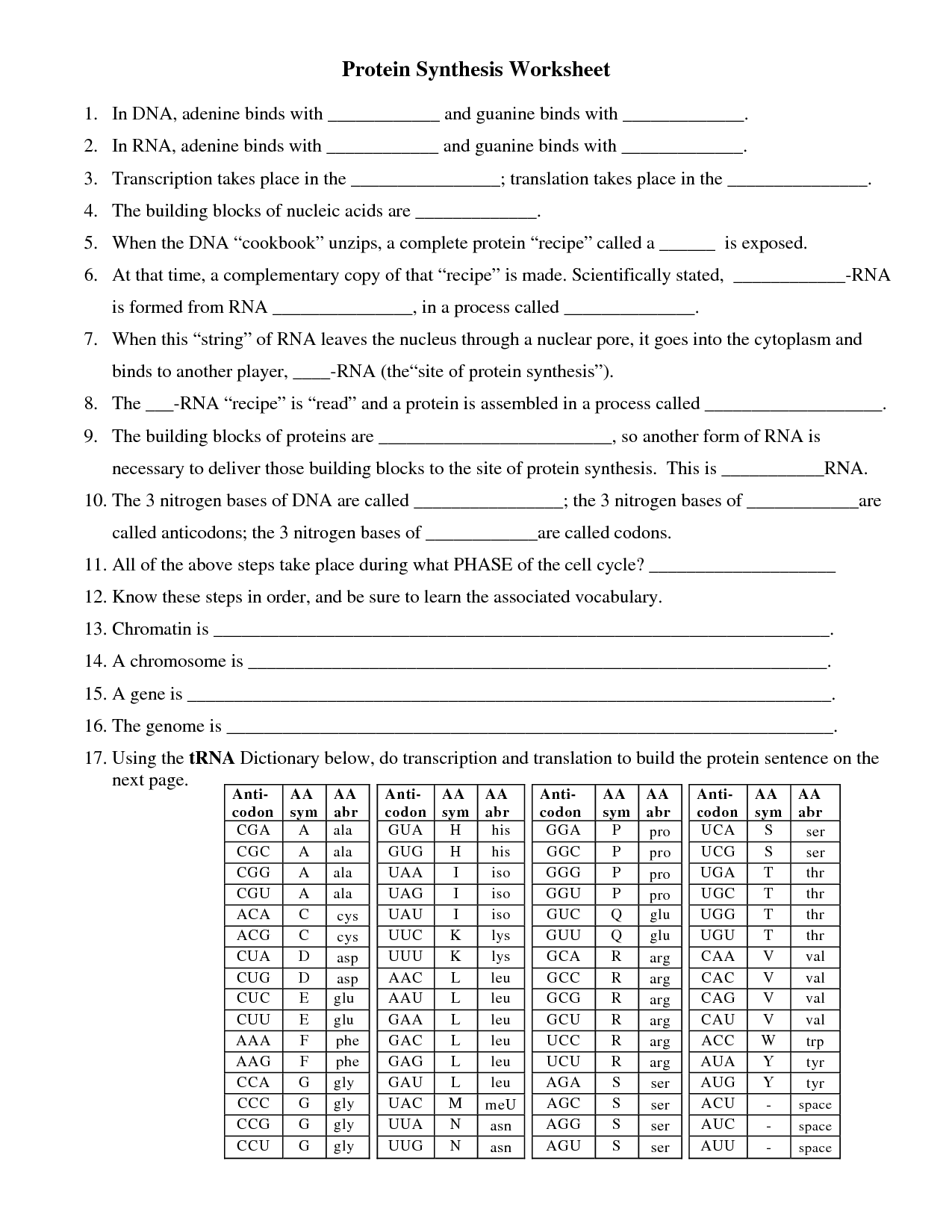 16 Images of Biology Protein Synthesis Worksheet Answer Key