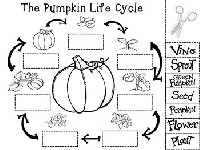 Free Pumpkin Life Cycle Printable Worksheets