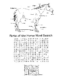 Horse Word Search Printable