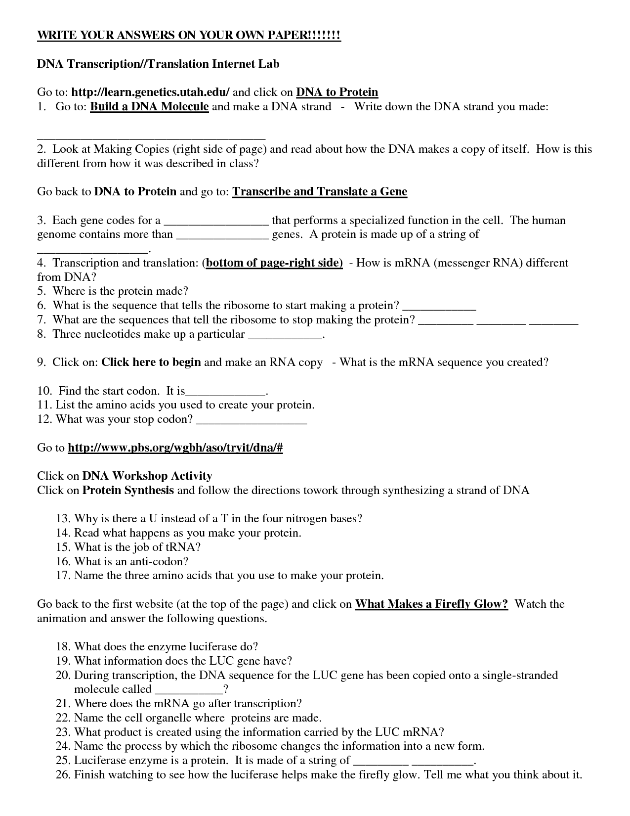 Transcription And Translation Practice Worksheet Answer Key Biology