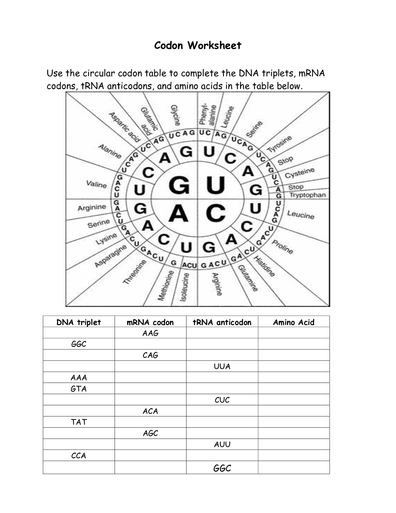 16 Best Images Of Amino Acid Codon Worksheet Answers Amino Acid Codon Chart Worksheets 