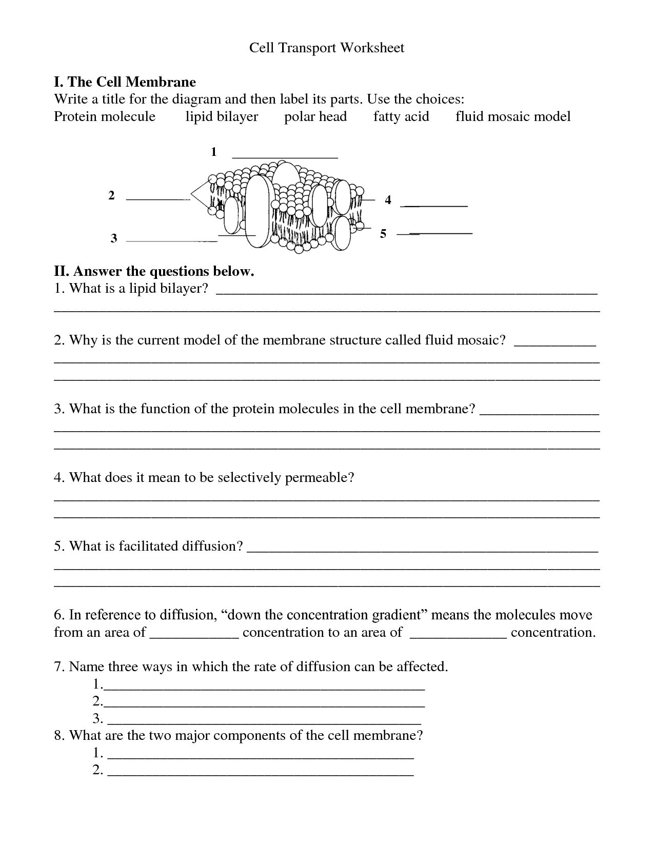 Cell Membrane Coloring Worksheet Answers - Onlineworksheet.my.id