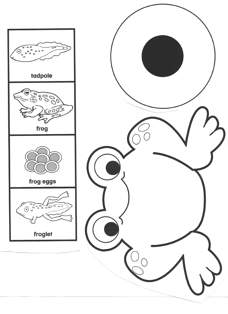 Free Printable Frog Worksheets