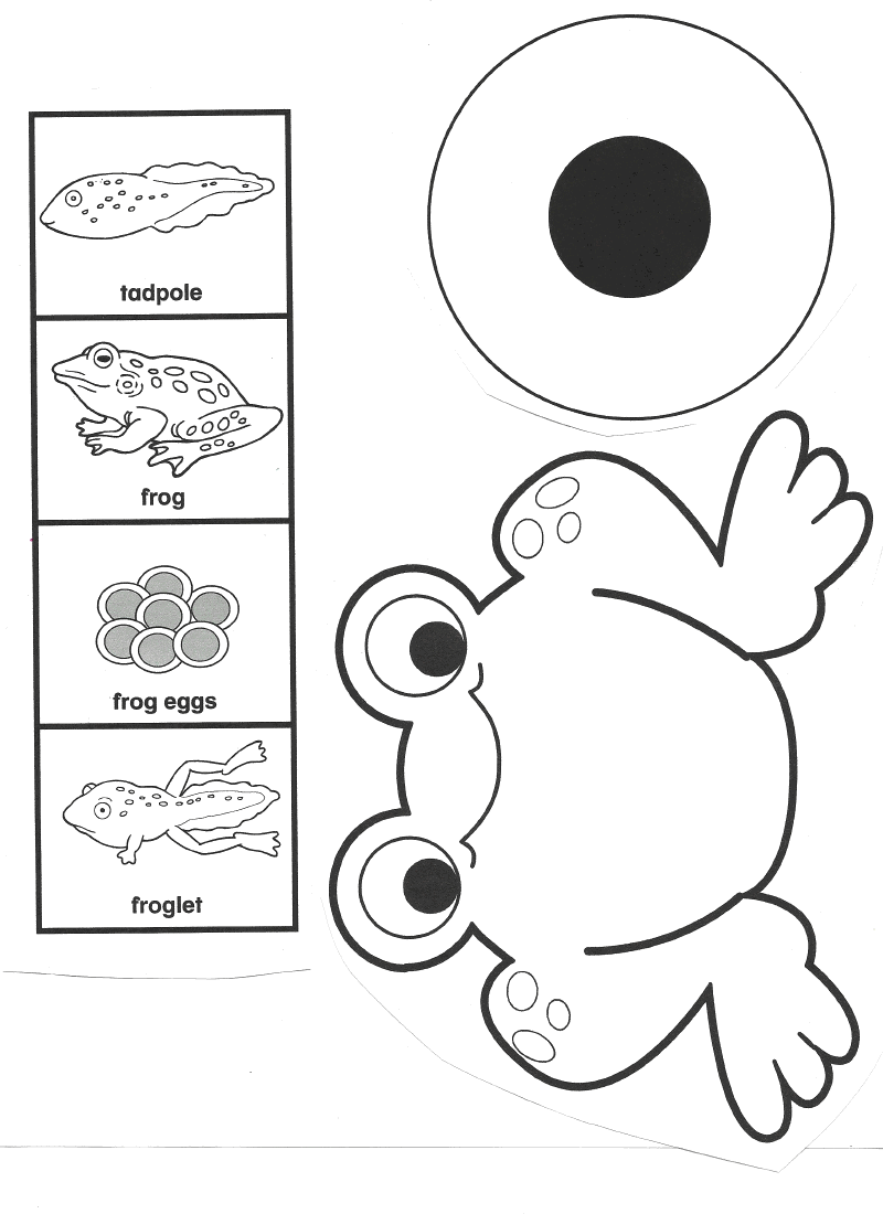 10 Best Images Of Frog Worksheets For Elementary Printable Frog 