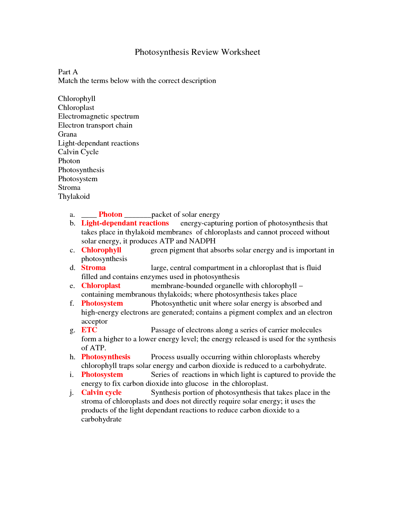 12 Best Images of Photosynthesis Diagrams Worksheet Answer Key  Photosynthesis Diagram 