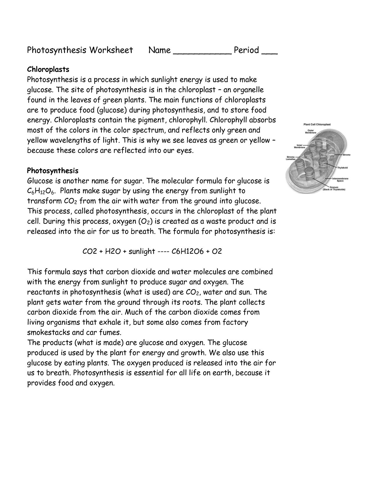 12 Best Images Of Photosynthesis Diagrams Worksheet Answer Key Photosynthesis Diagram 