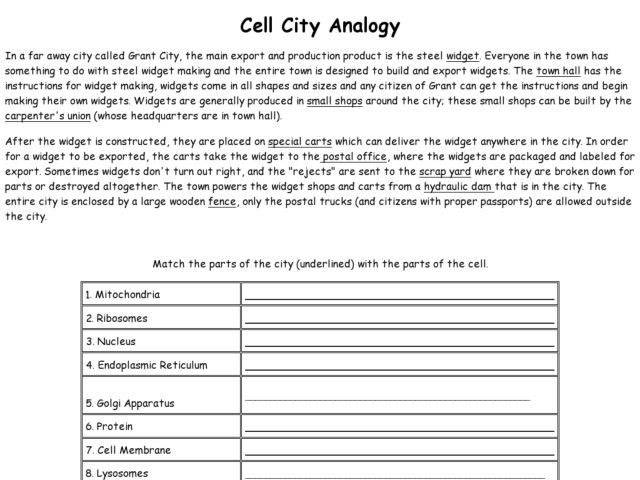 Cell City Analogy Worksheet