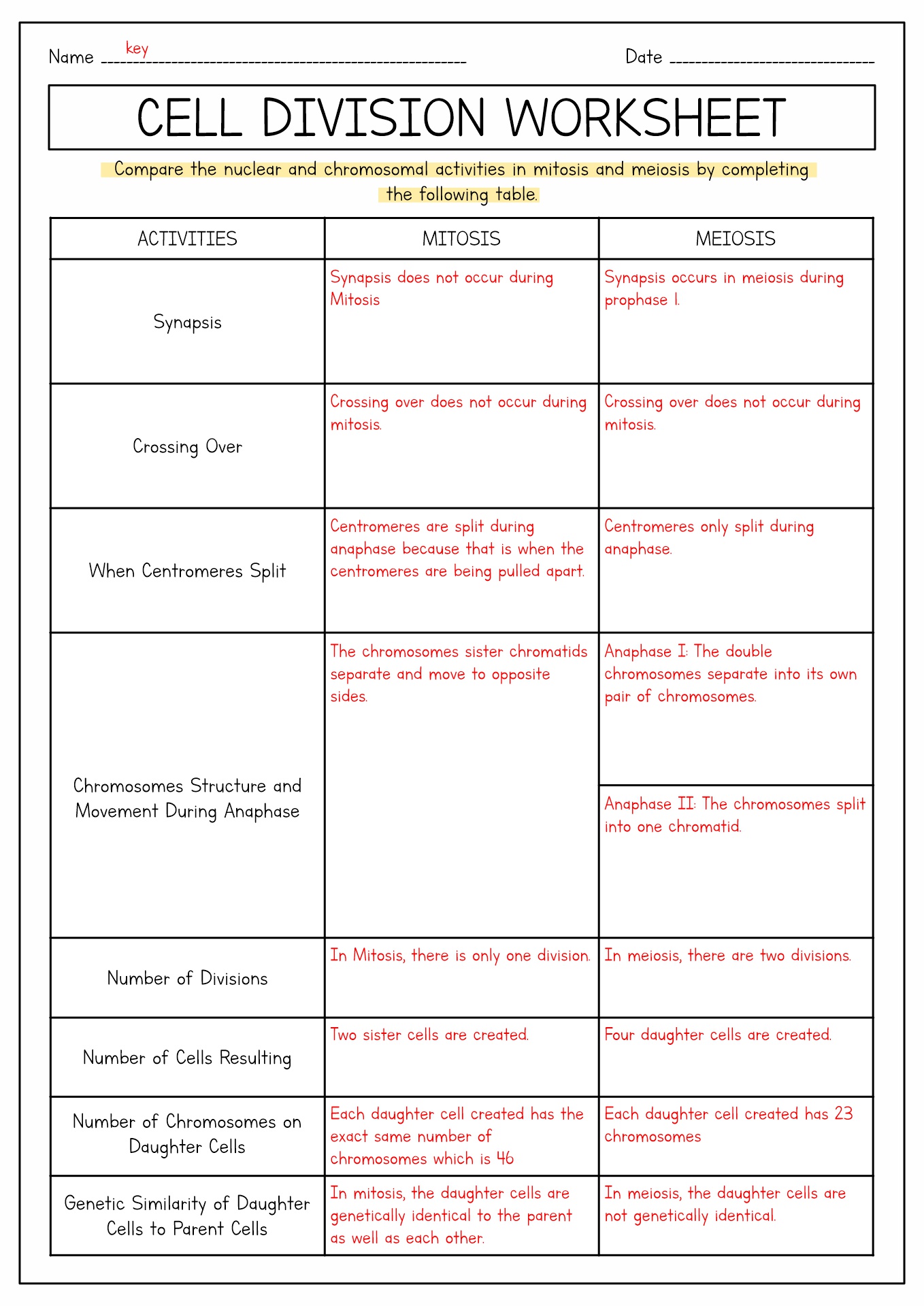 16 Best Images Of Meiosis Diagram Worksheet Meiosis Stages Worksheet