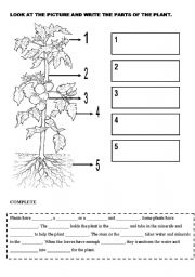 11 Best Images of Word 2010 Lesson Teaching Worksheets - English