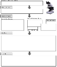 Blank Flow Chart Scientific Method Worksheet