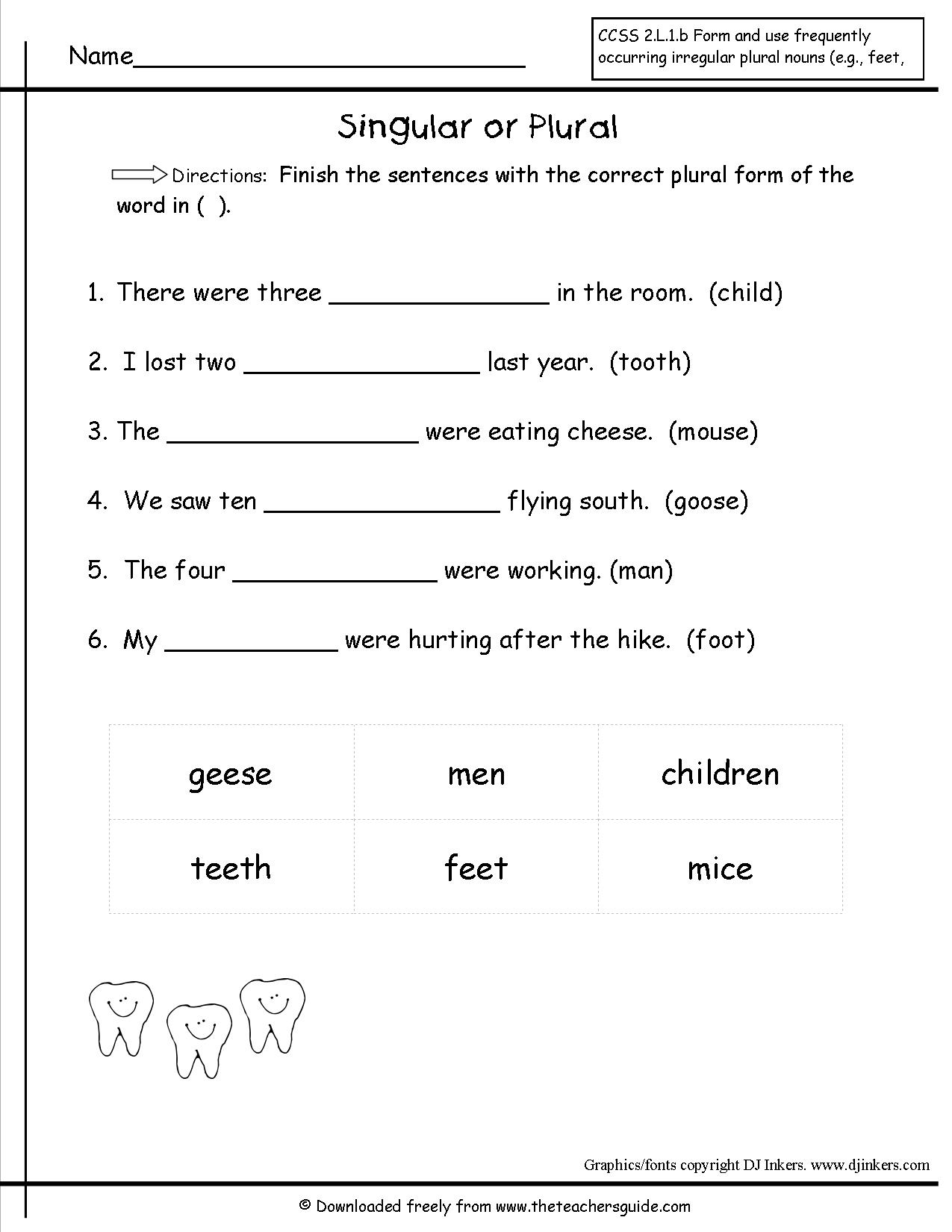 Irregular Plural Nouns 2nd Grade Worksheet