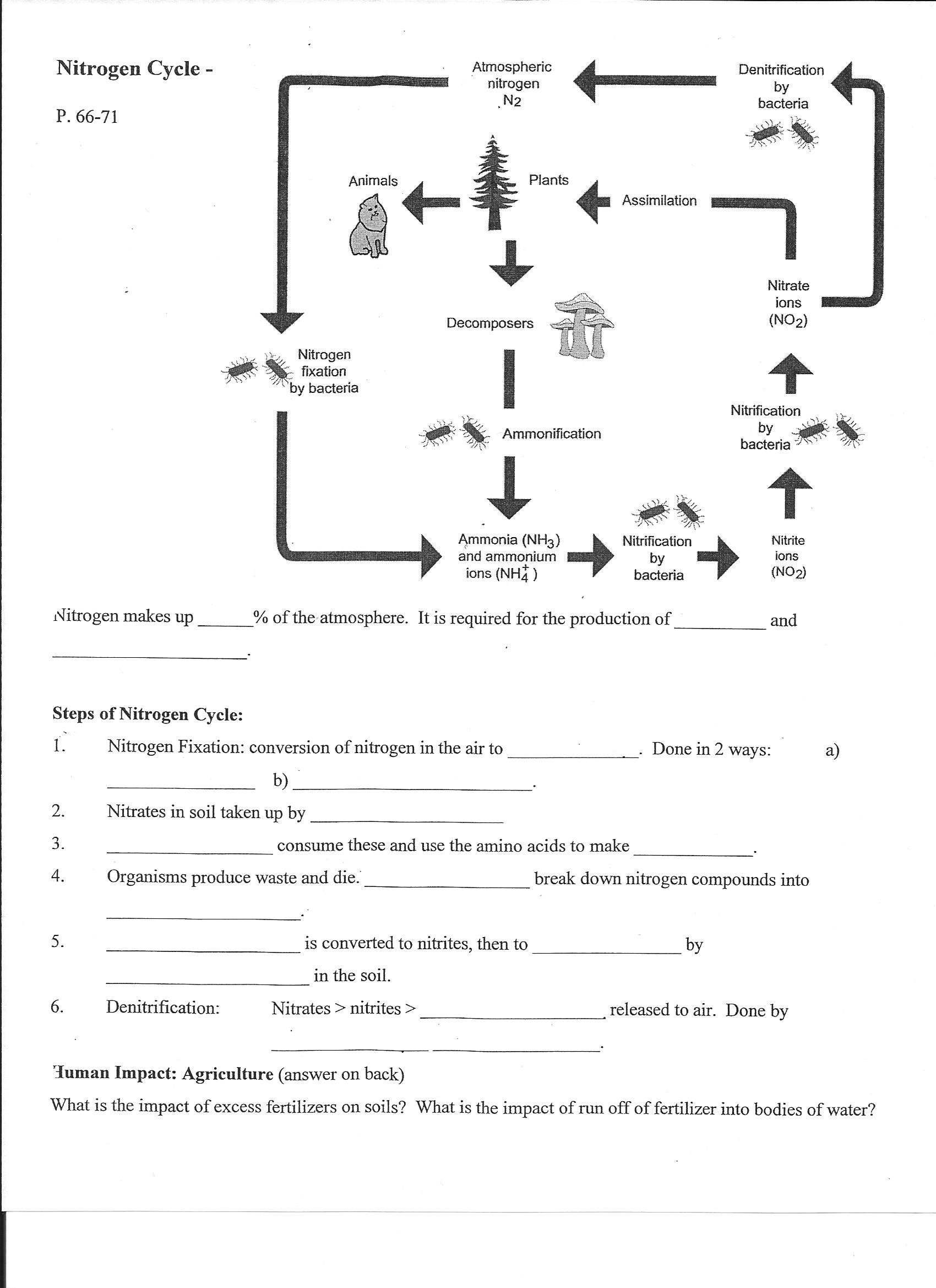 17 Best Images of Nitrogen Cycle Worksheet Middle School - Carbon Cycle