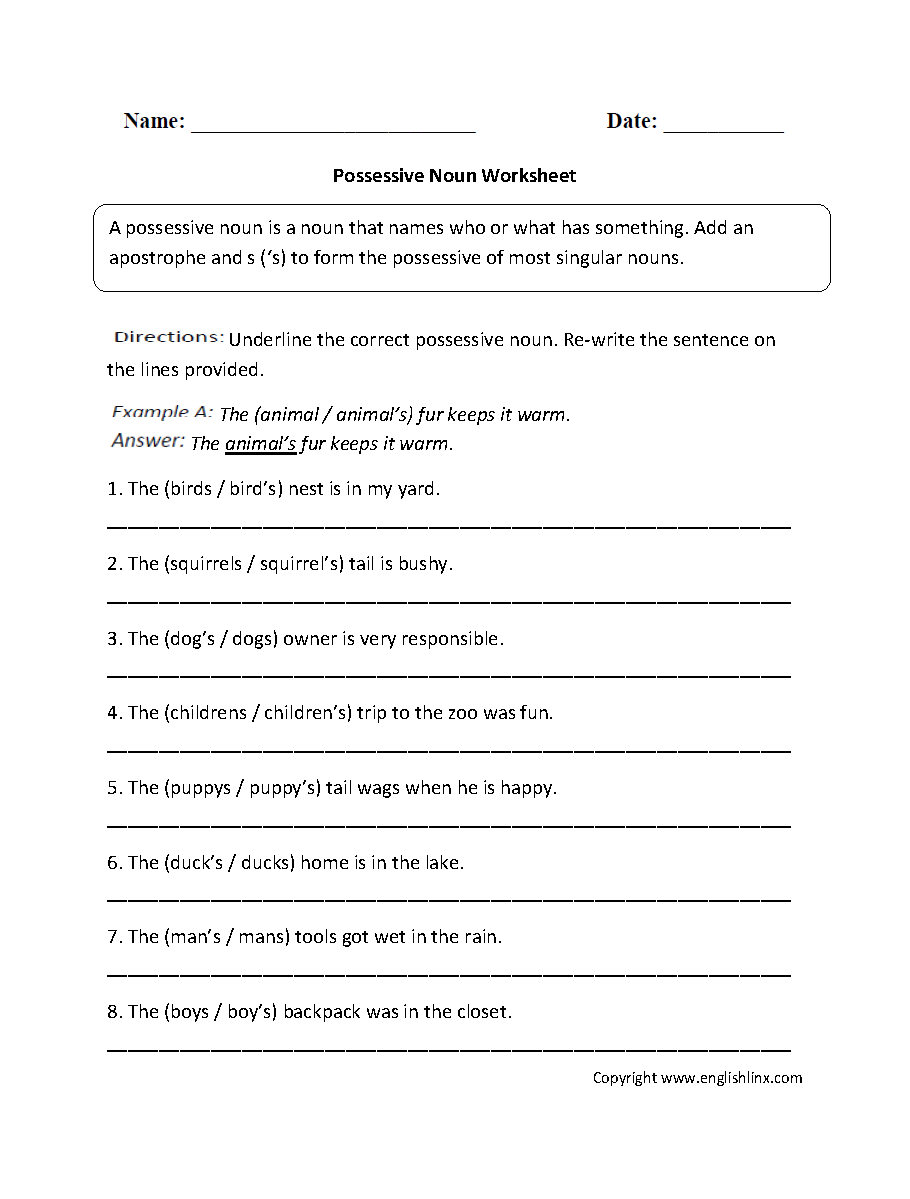 15 Best Images of Possessive Nouns Worksheets 5th Grade - Singular