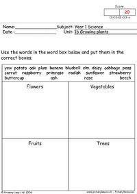 Worksheets Fruit or Vegetable