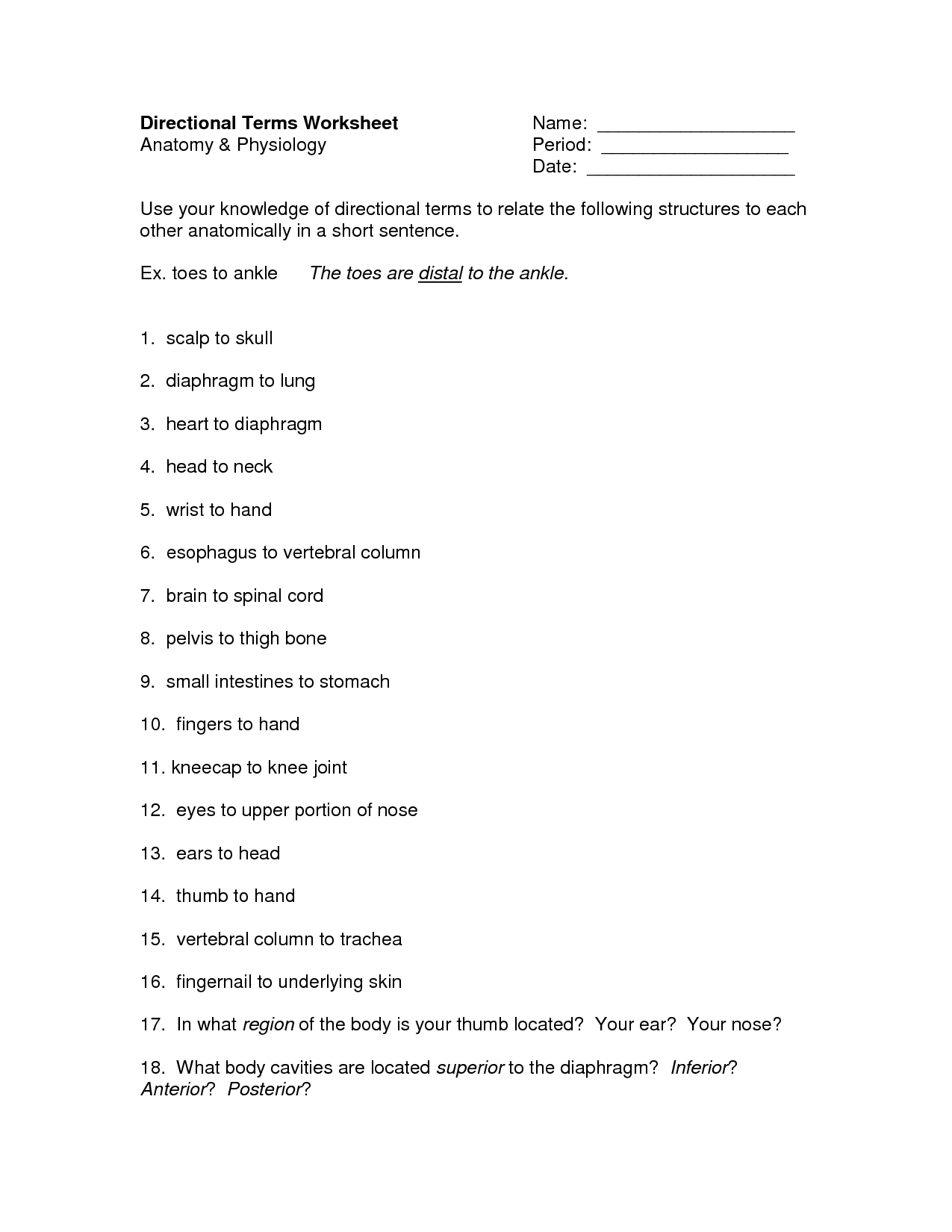 30 Directional Terms Worksheet Anatomy Physiology Answers - Worksheet