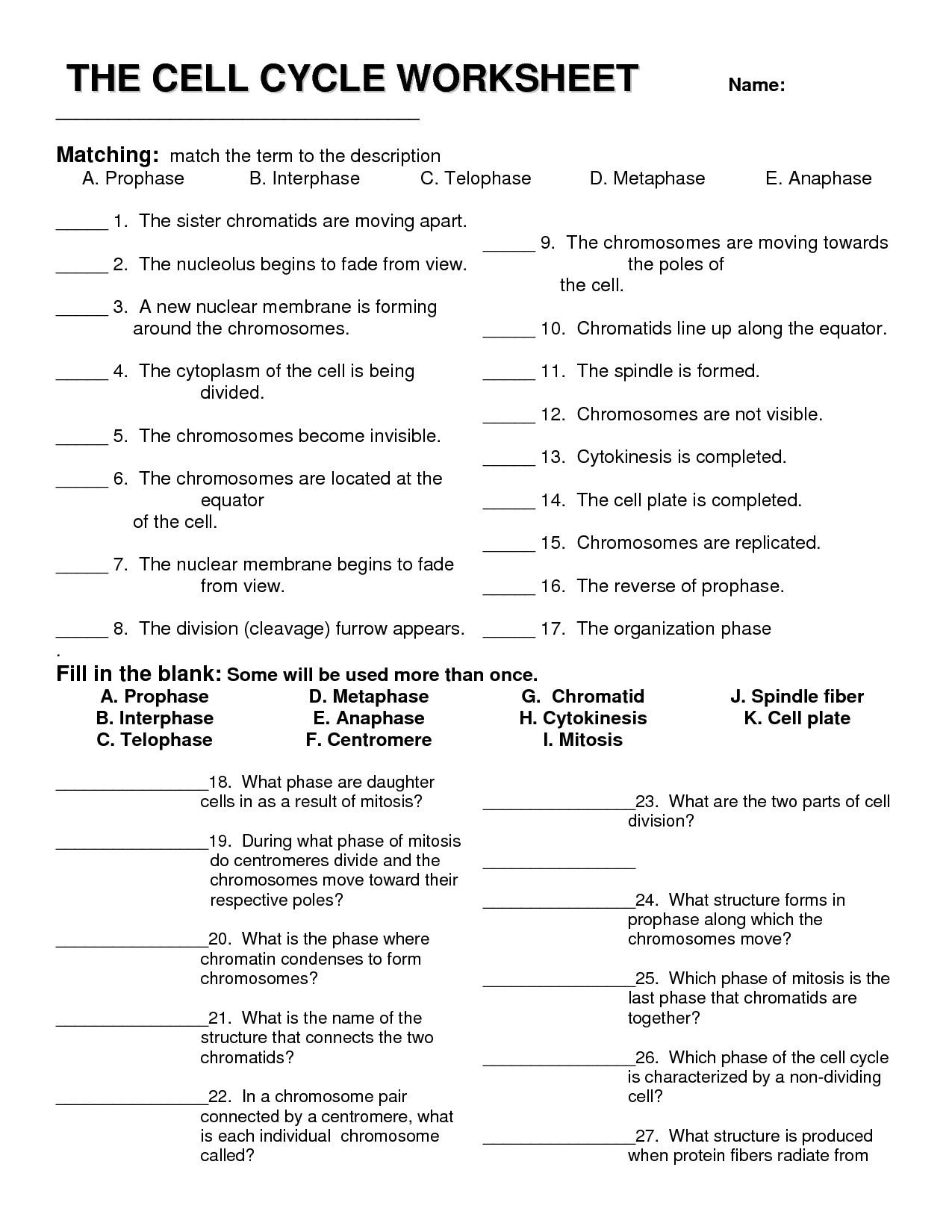 cell-structure-and-function-vocabulary