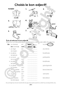 french feminine masculine adjectives worksheet worksheeto via