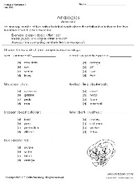 5th Grade Analogies Worksheet