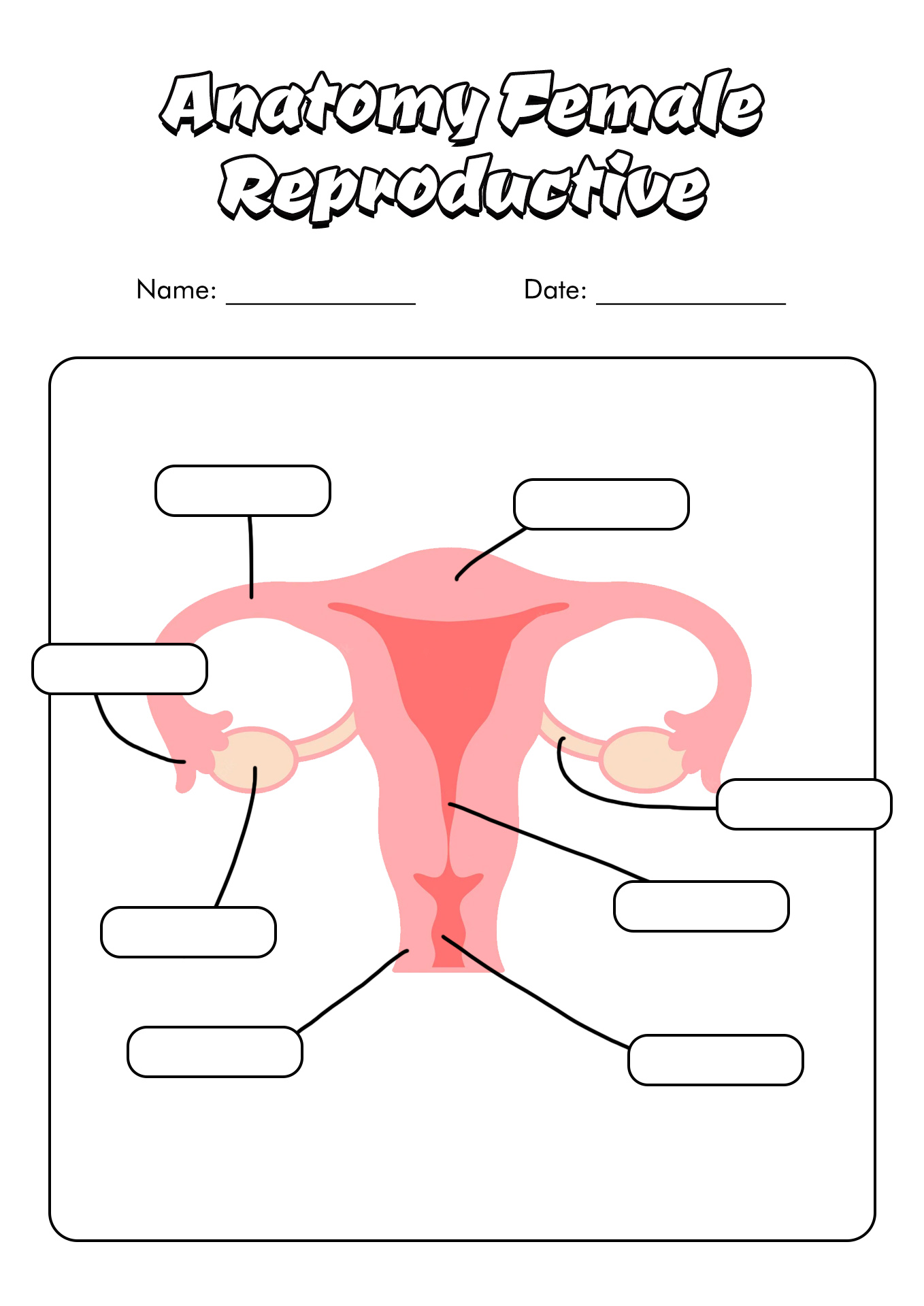 11 Best Images of Blank Anatomy Worksheets - Human Anatomy Body