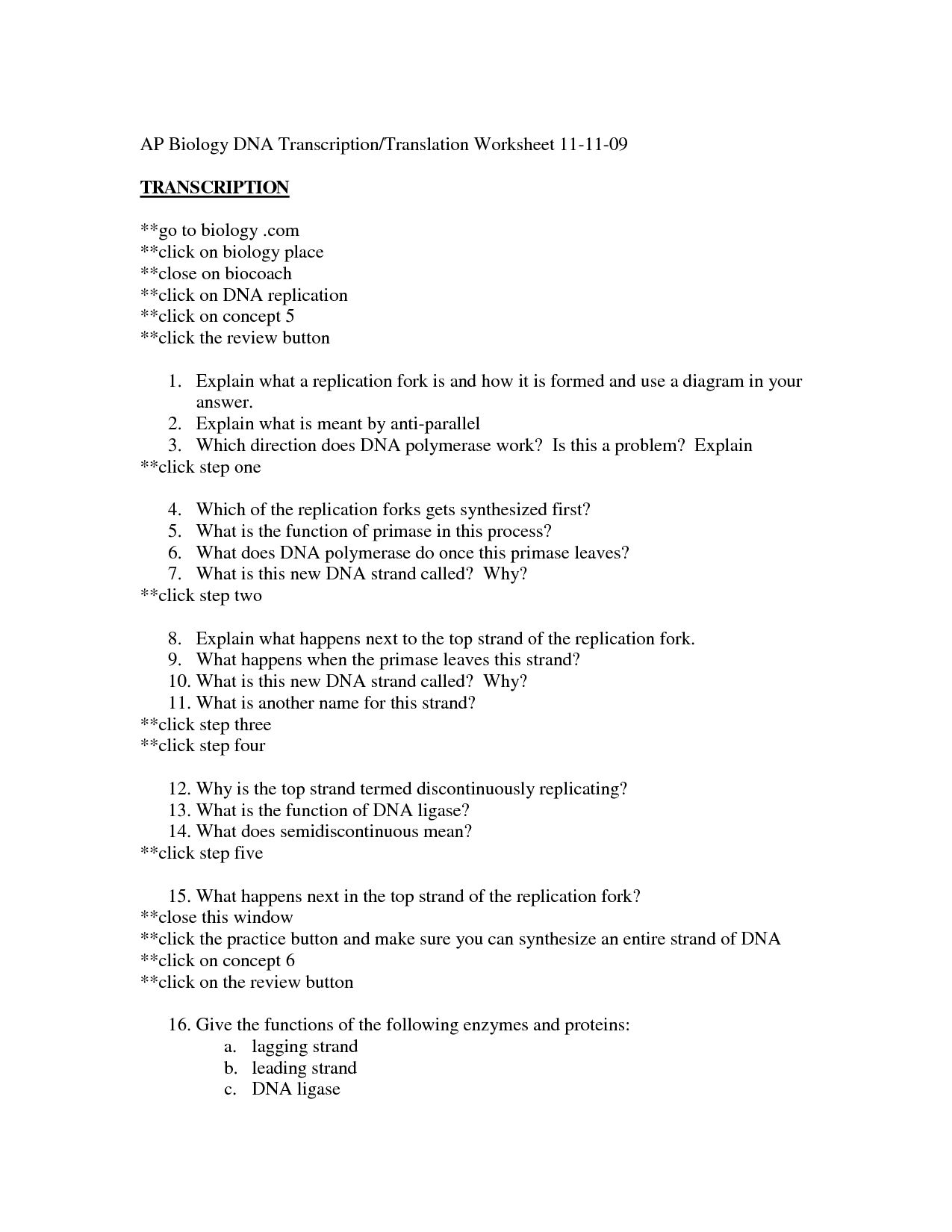 Dna Replication Worksheet Answer Key