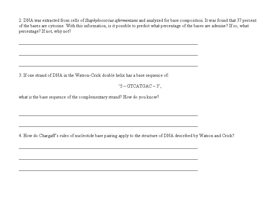 19 Best Images of DNA Replication Structure Worksheet And Answers  DNA Structure Worksheet 