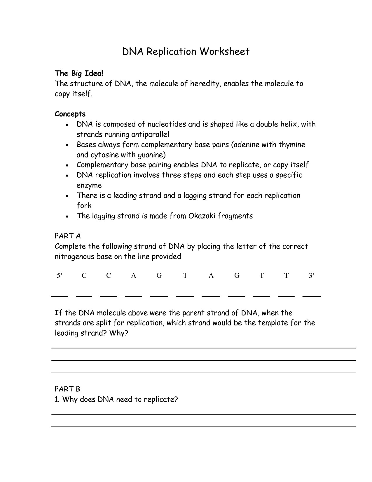 19 Best Images of DNA Replication Structure Worksheet And Answers - DNA